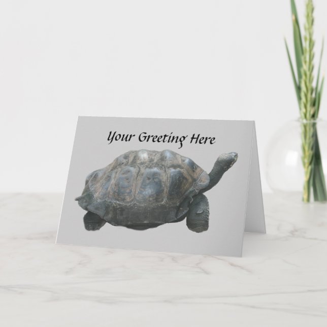 Turtle Sloppe Down Greeting Card Kort (Framsida)
