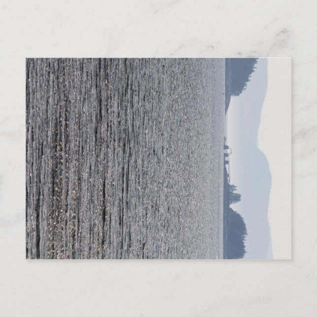 Turtle, Spectacle och Mount Desert Islands, Maine Vykort (Framsida)