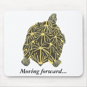 Turtle, stjärnsköldpadda, målande mousserande musmatta