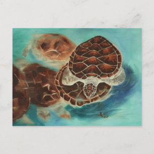 Turtle Time Postcard Vykort