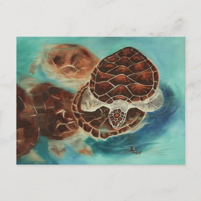 Turtle Time Postcard Vykort (Framsida)