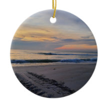 Turtle Tracks vid Sunrise