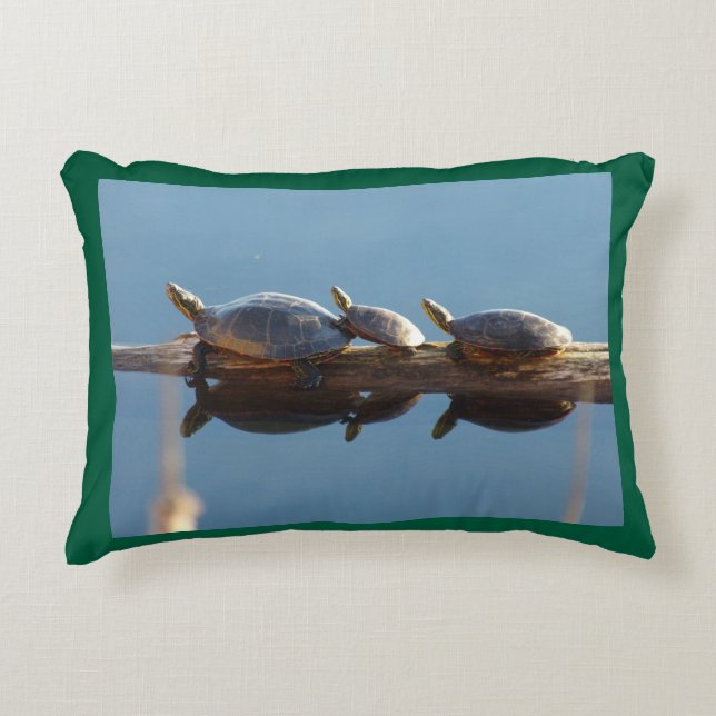 Turtle Trio Accent Kuddarna Prydnadskudde (Framsidan)