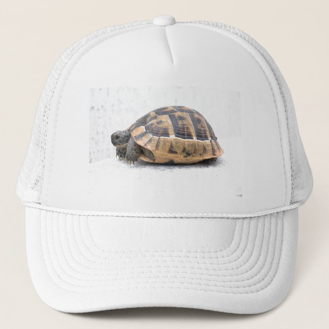 Turtle Truckerkeps (Framsida)