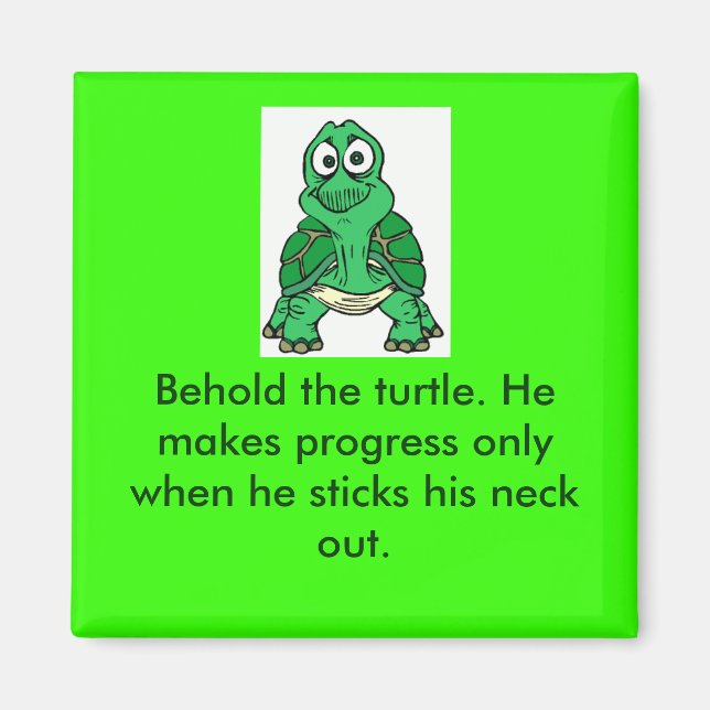 Turtle Truth Magnet (Framsidan)