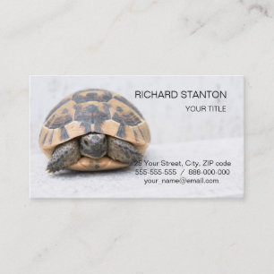 Turtle Visitkort