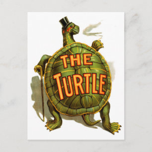 Turtle Vykort