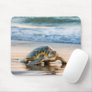 Turtle Walking on Blöt Beach Sand Musmatta