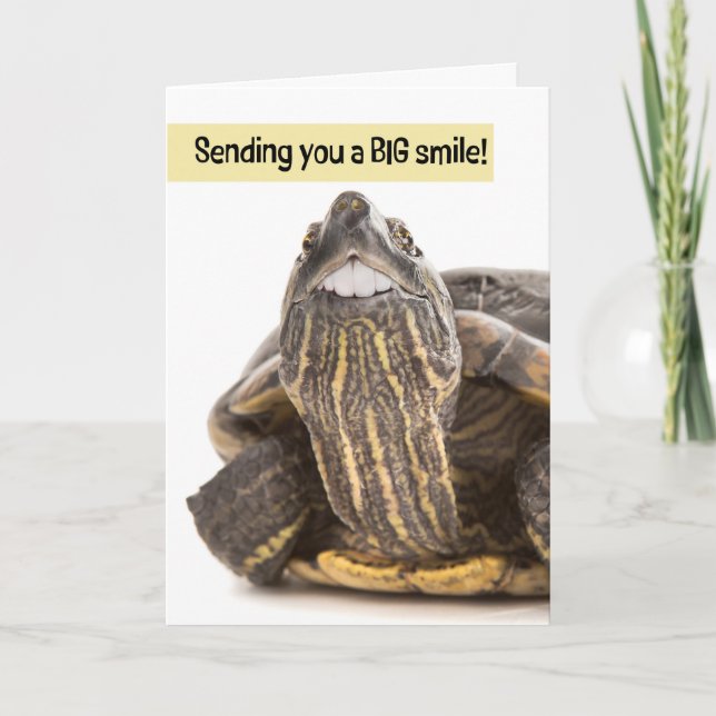 Turtle with Big Teeth Smiling Humor Helgkort (Framsida)