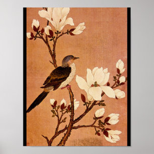 Turtledove vid Blommar Gren_Orienten Poster