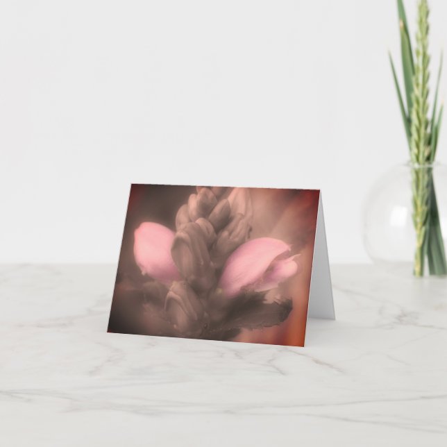 Turtlehead Flower Black and White Note Card Tack Kort (Framsida)