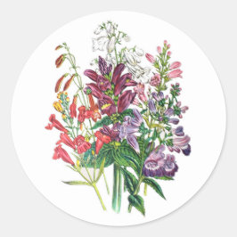 Turtlehead och Beardtongues Runt Klistermärke