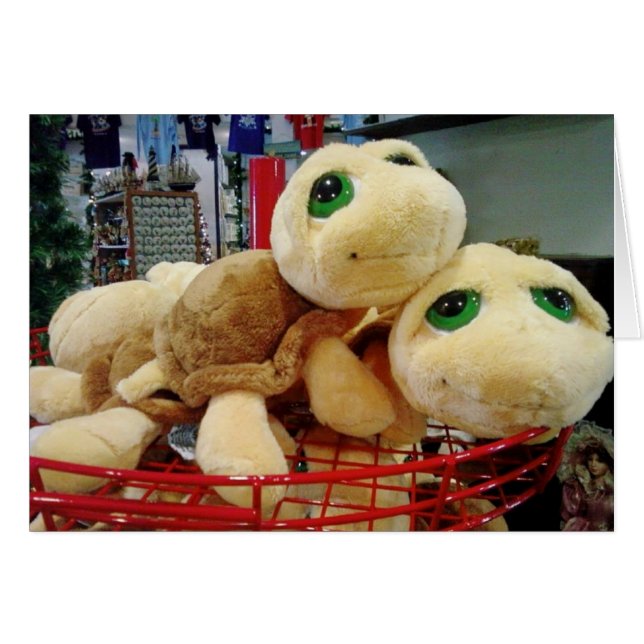 TURTLERNA HAR EXCEPTIONELL NÅGOVISION (MISTLETOE) HÄLSNINGSKORT (Framsidan Horizontal)