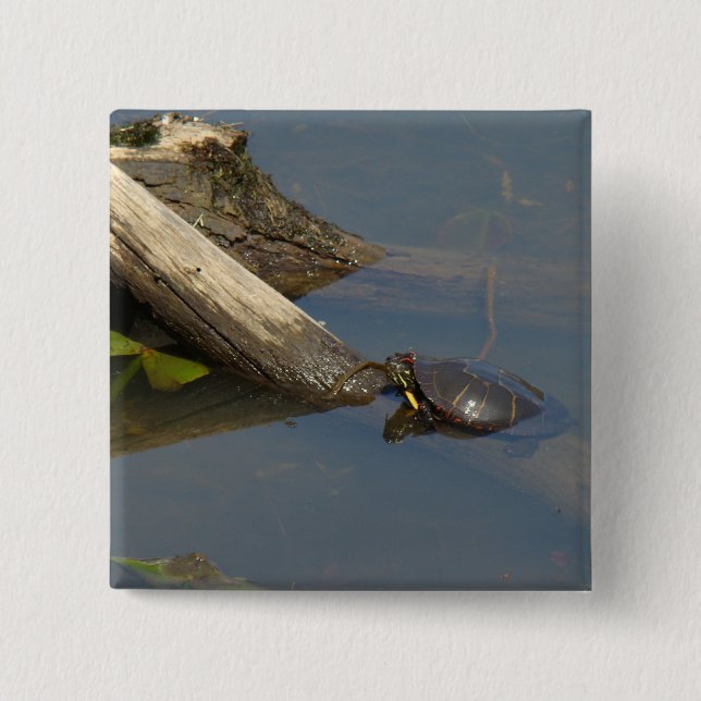 Turtle's Day Off Knapp (Framsida)