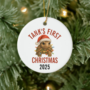 Turtle's First Christmas 2025 Julgransprydnad Keramik