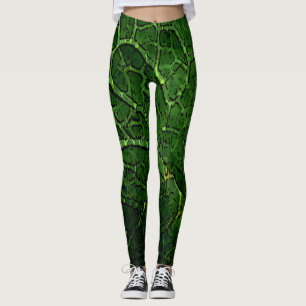Turtles hela vägen ner - baljor leggings