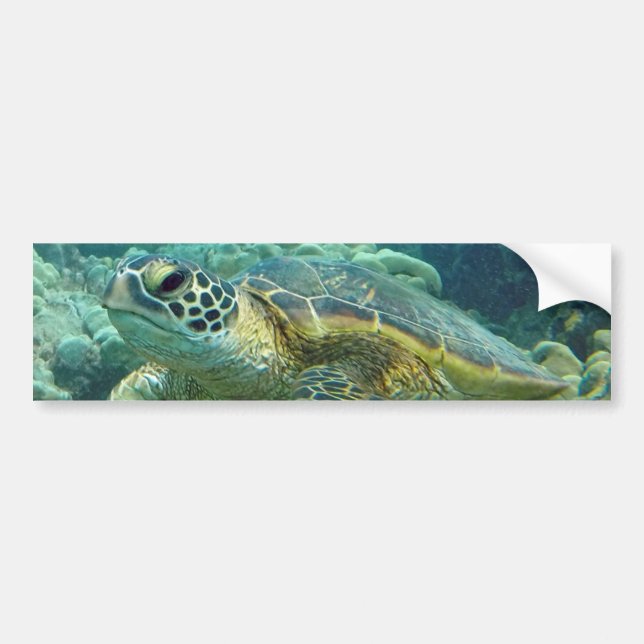 Turtles i Hawaii Bildekal (Framsidan)