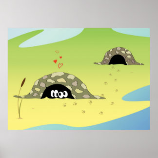 Turtles i Kärlek Poster