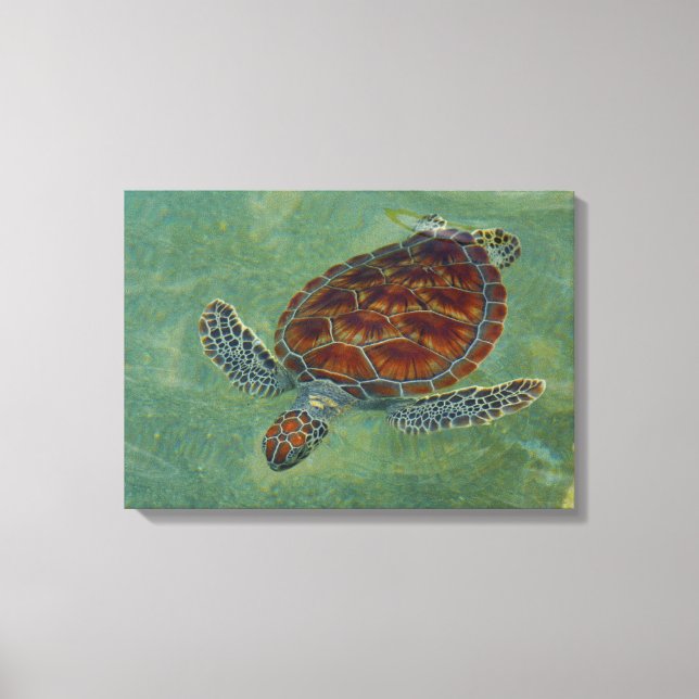 Turtles på Canvas (Framsida)