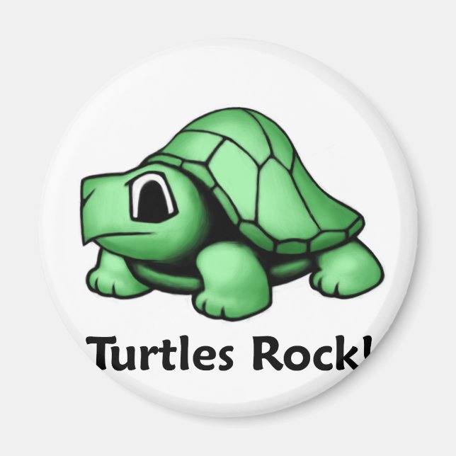 Turtles Sten! Magnet (Framsidan)