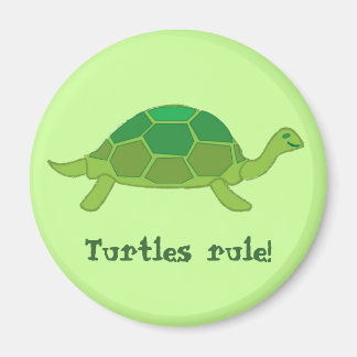 Turtles styr! magnet