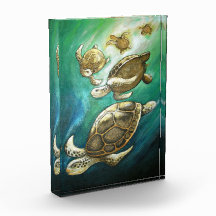 Turtles Sunlight Simma