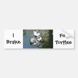 Turtles/Tortoises Bildekal