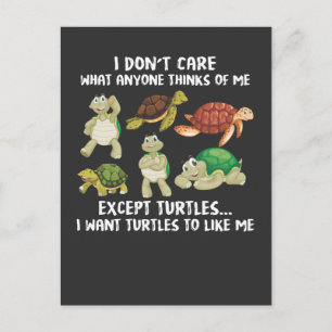 Turtles Turtles Enthusiast i Älskare Vykort