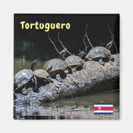 Turtles vid Tortugueros nationalpark - Costa Rica Magnet