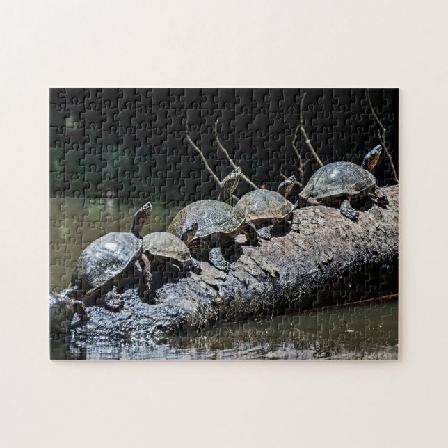 Turtles vid Tortugueros nationalpark - Costa Rica Pussel (Horisontell)