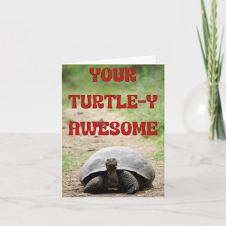 Turtley Fantastisk Birthday Önskemål för en Slow M Kort
