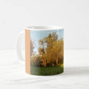 Tusand Oaks Park i San Jose, Kalifornien Kaffemugg