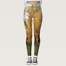 Tusand Oaks Park, San Jose, Kalifornien Leggings