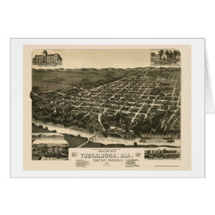 Tuscaloosa panorama- karta för AL - 1887 Hälsningskort