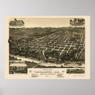 Tuscalosa, AL Panoramic Karta - 1887 Poster