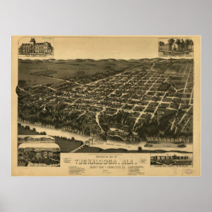 Tuscalosa Alabama 1887 Panoramic Karta Poster