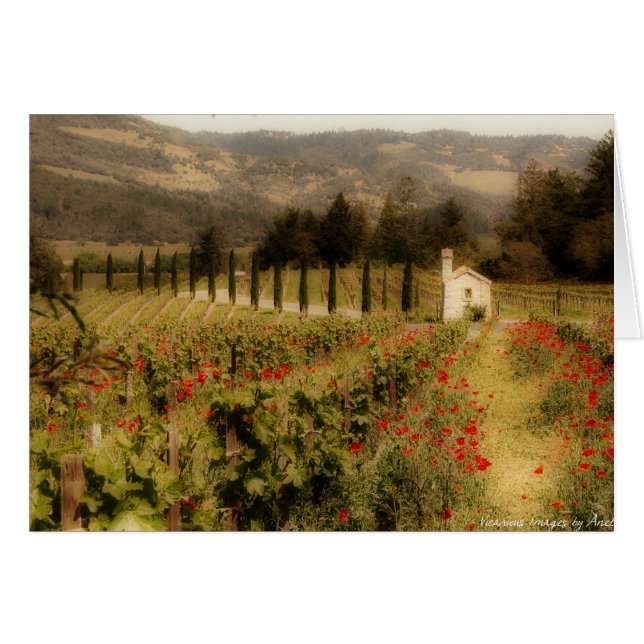 Tuscan Dream Card Hälsningskort (Framsidan Horizontal)