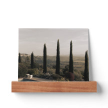 Tuscan landscape hidden behind cypresses (2024)