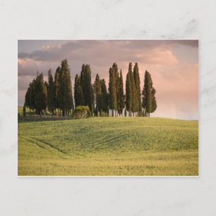 Tuscan Ligcape vid Sunset Vykort