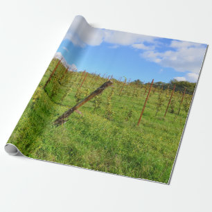 Tuscan vingård presentpapper