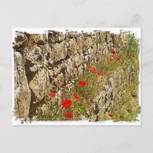 Tuscany, Italien. Illustration. Vykort (Framsida)