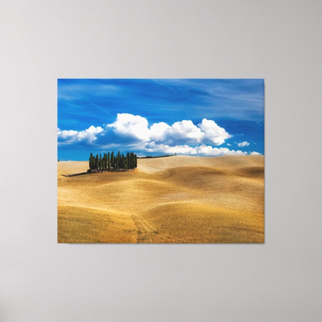 Tuscany (Italien) Plains Landscape Canvastryck (Framsida)