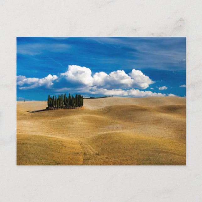 Tuscany (Italien) Plains Landscape Vykort (Framsida)