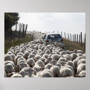 tuscany jordbruksmarkväg, bil som blockeras av poster