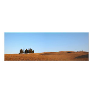 Tuscany landskap med cypressespanoramatrycket fototryck