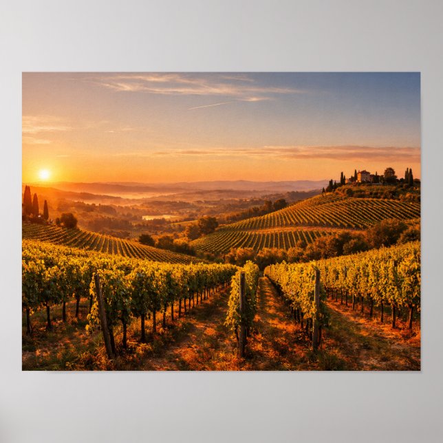 Tuscany Vineyard at Sunset Landscape Poster (Framsidan)