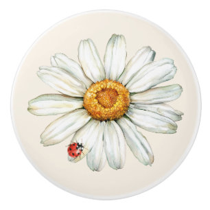 Tusensköna Blomma Röd Svart Nyckelpiga Knopp