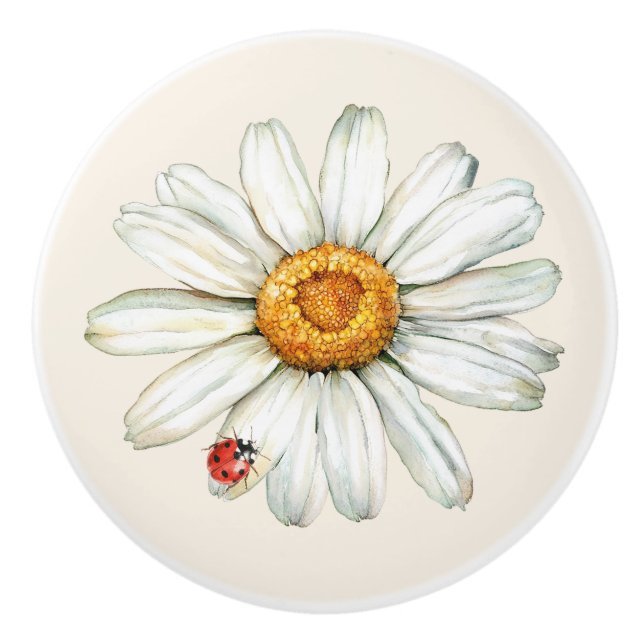Tusensköna Blomma Röd Svart Nyckelpiga Knopp (Framsidan)