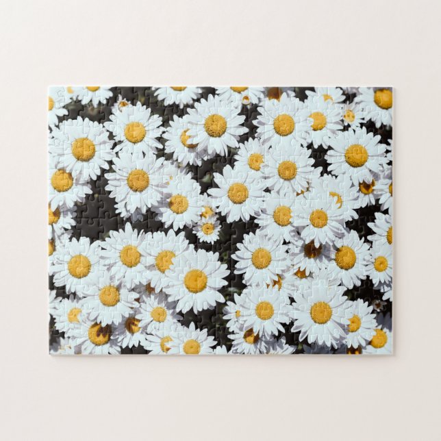 Tusenskönor Blommor Blomning Natur Pussel (Horisontell)
