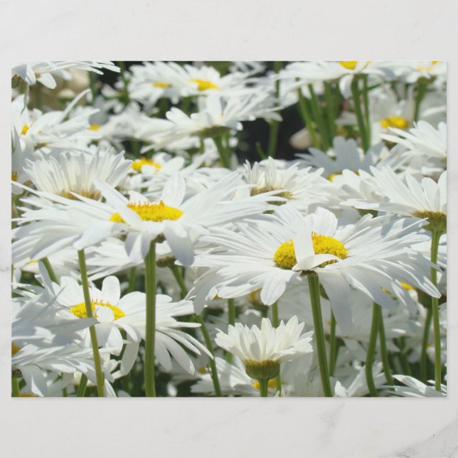 Tusenskönor Blommor Scrapbook papper Tematisk Desi (Framsida)